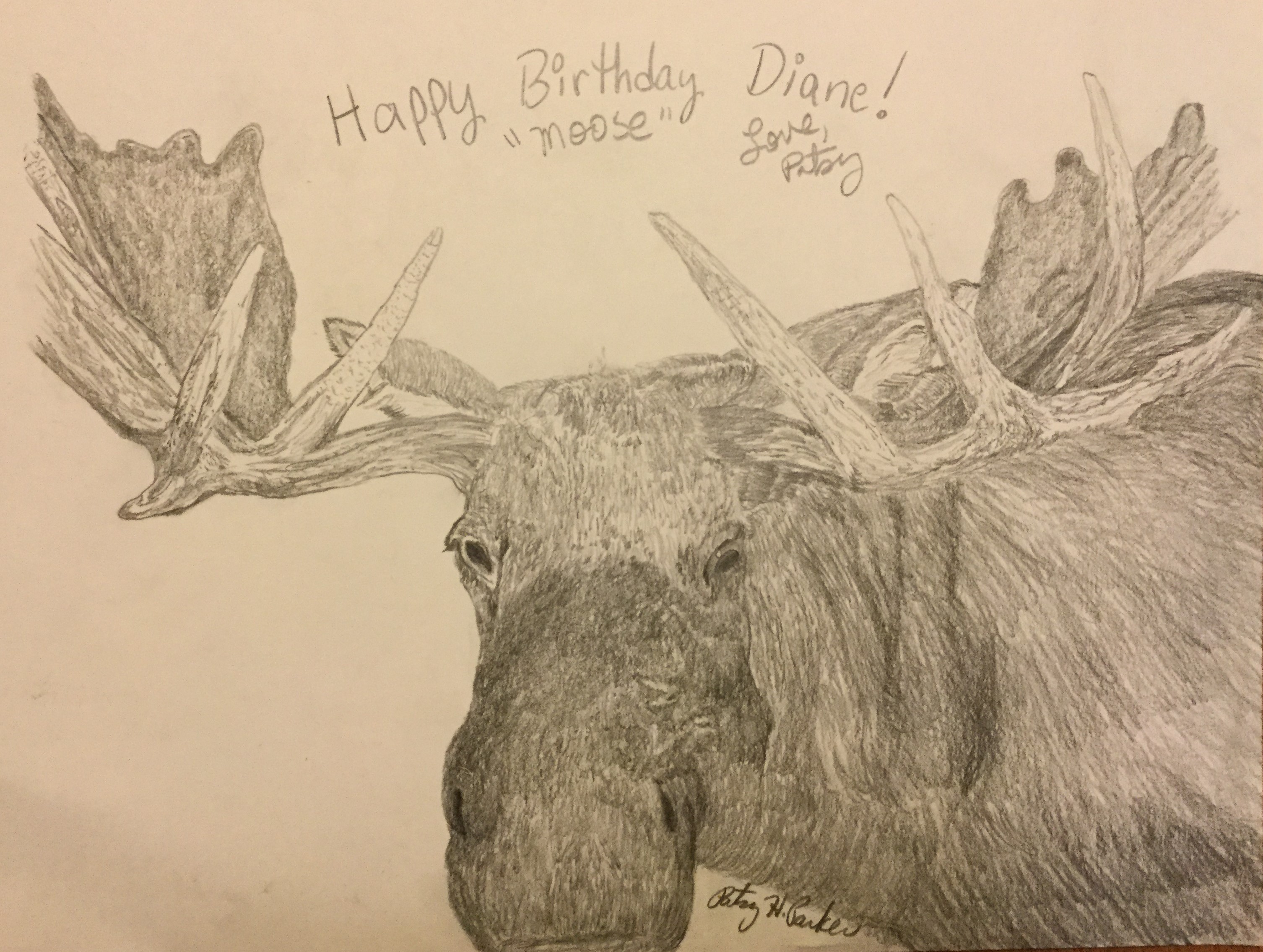 3012x2270 Moose Pencil Drawing Patsy's Creative Corner