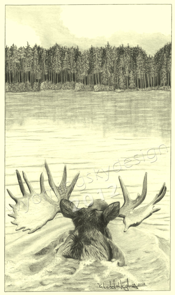 570x959 Out For A Swim Moose Digital Print From Original Pencil Drawing