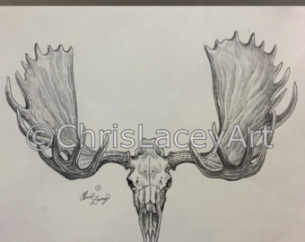 340x270 Moose Skull Etsy