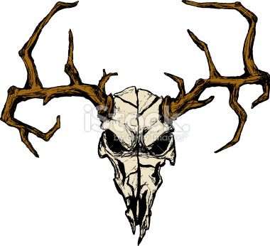 380x346 Moose Skull Drawing Agriculture Plots [ 24 ] Building [ 3