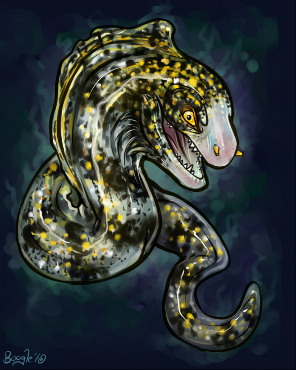 600x750 Snowflake Moray Eel By Penanggalan