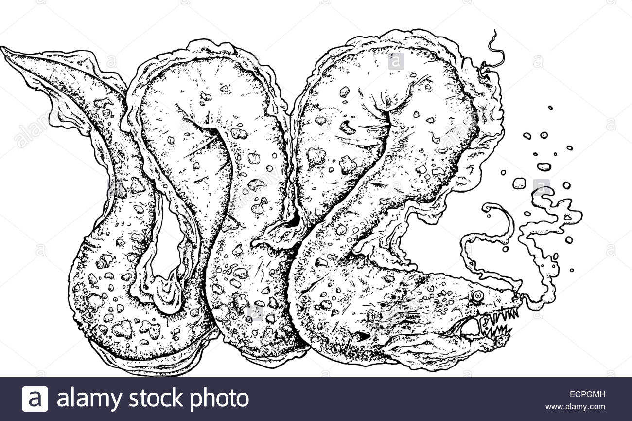 1300x865 Moray Eel Black And White Illustration Stock Vector Art