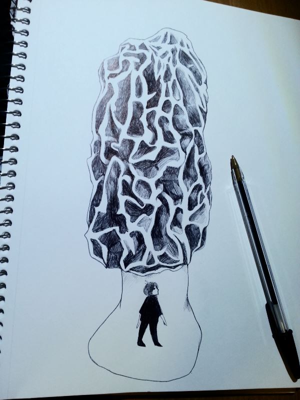 600x800 Morel Mushroom By Goatqueen