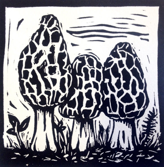 570x582 Morel Mushrooms Linocut Print