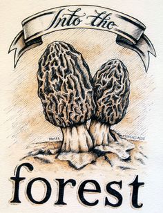 236x308 Morel Drawing Morel Mushrooms Drawing Morel Mushroom By Omyle