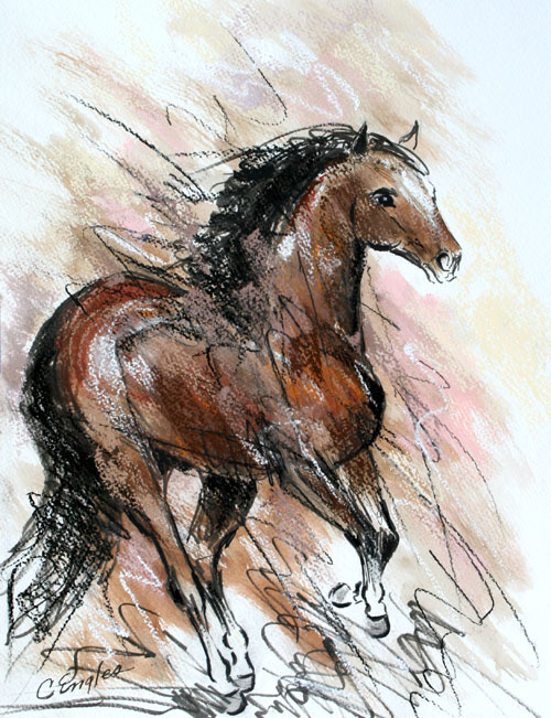 500x651 Carol Engles Art Morgan Horse