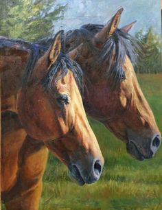 236x306 Graphite Powder, Pencil And Charcoal Drawing Of Morgan Horse