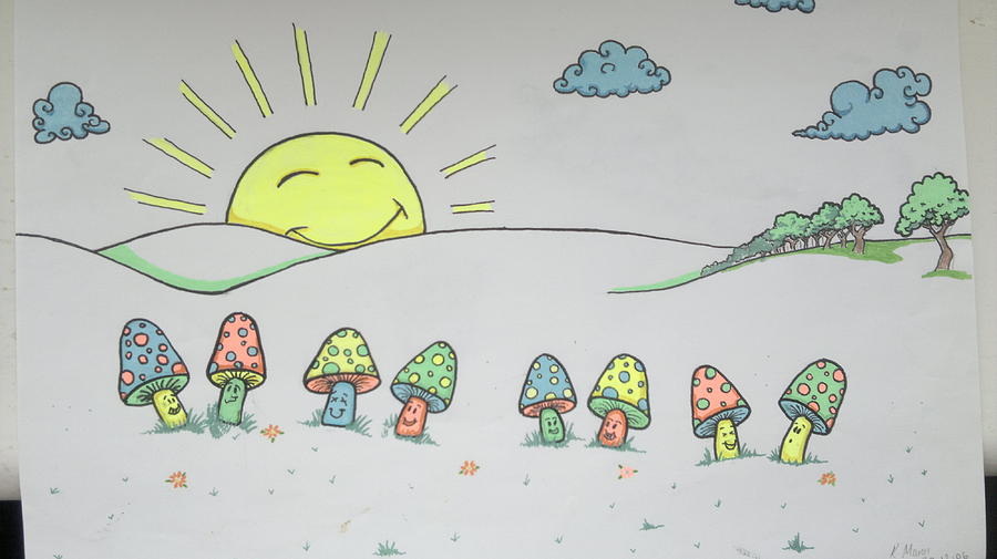 900x505 Mushrooms In The Morning Sun Drawing By Karina Mann