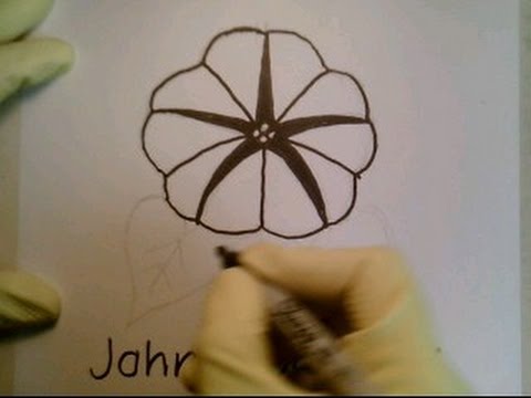 480x360 How To Draw A Morning Glory Flower Easy For Everyone Como Dibujar