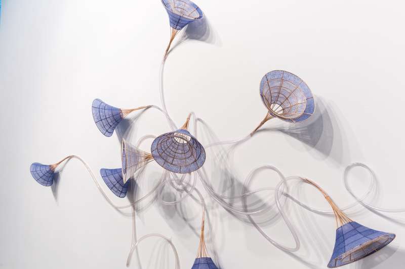 800x533 Morning Glory Xiaojing Yan