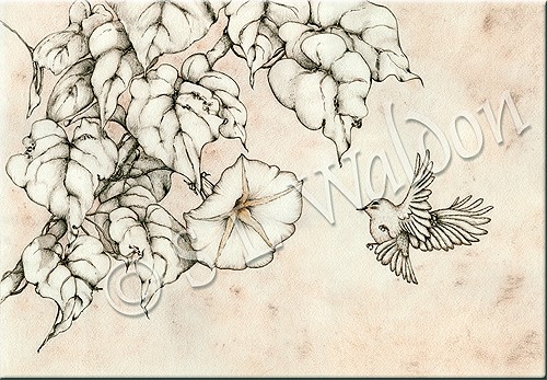 500x347 Morning Glory On Artfire!