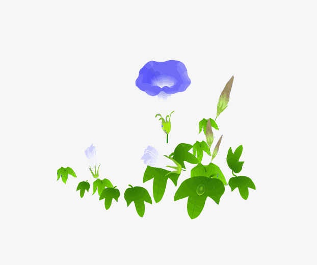 622x520 Drawing Paper, Design, Morning Glory, Flowers Png Image For Free