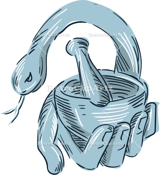 540x590 Hand Holding Mortar And Pestle Snake Drawing Vector Stock