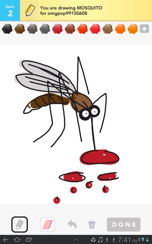 500x800 Mosquito Drawings