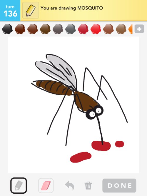 500x667 Mosquito Drawings