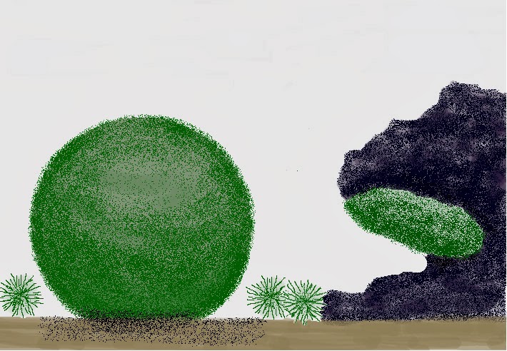 710x492 The Fern And Mossery Marimo Moss Ball Terrariums