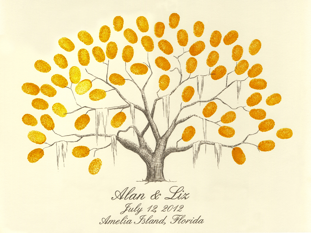 1000x750 Spanish Moss Flyoung Studio