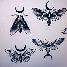 236x236 Image Result For Moth Tattoo Tattoos Moth Tattoo