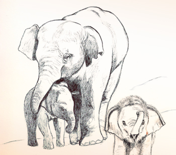 350x307 Mother Elephant Sunnyside Studios