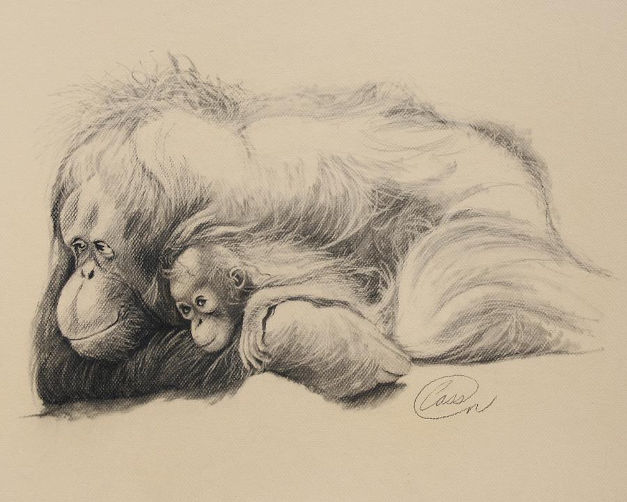900x720 Mother Love Drawing By Albert Casson