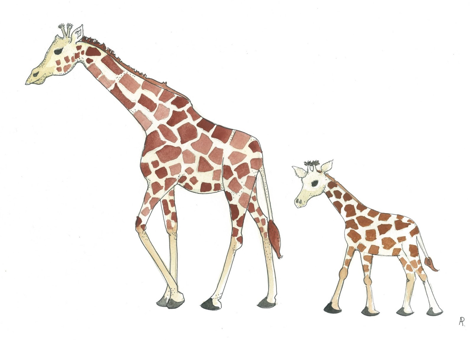1600x1151 Baby Giraffe Drawing Mother And Baby Giraffe Drawing