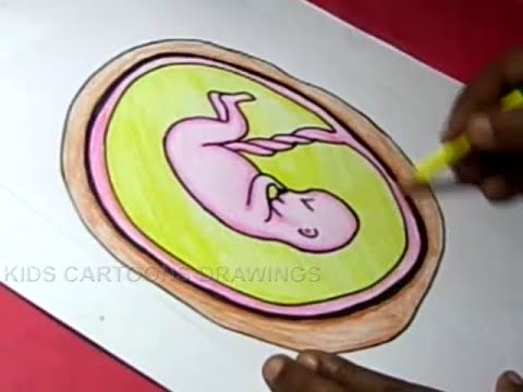 480x360 How To Draw Baby In Mother Stomach Drawing For Kids