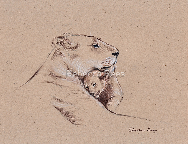 800x614 A Mother's Pride Lioness And Cub Original Pencil Drawing. By