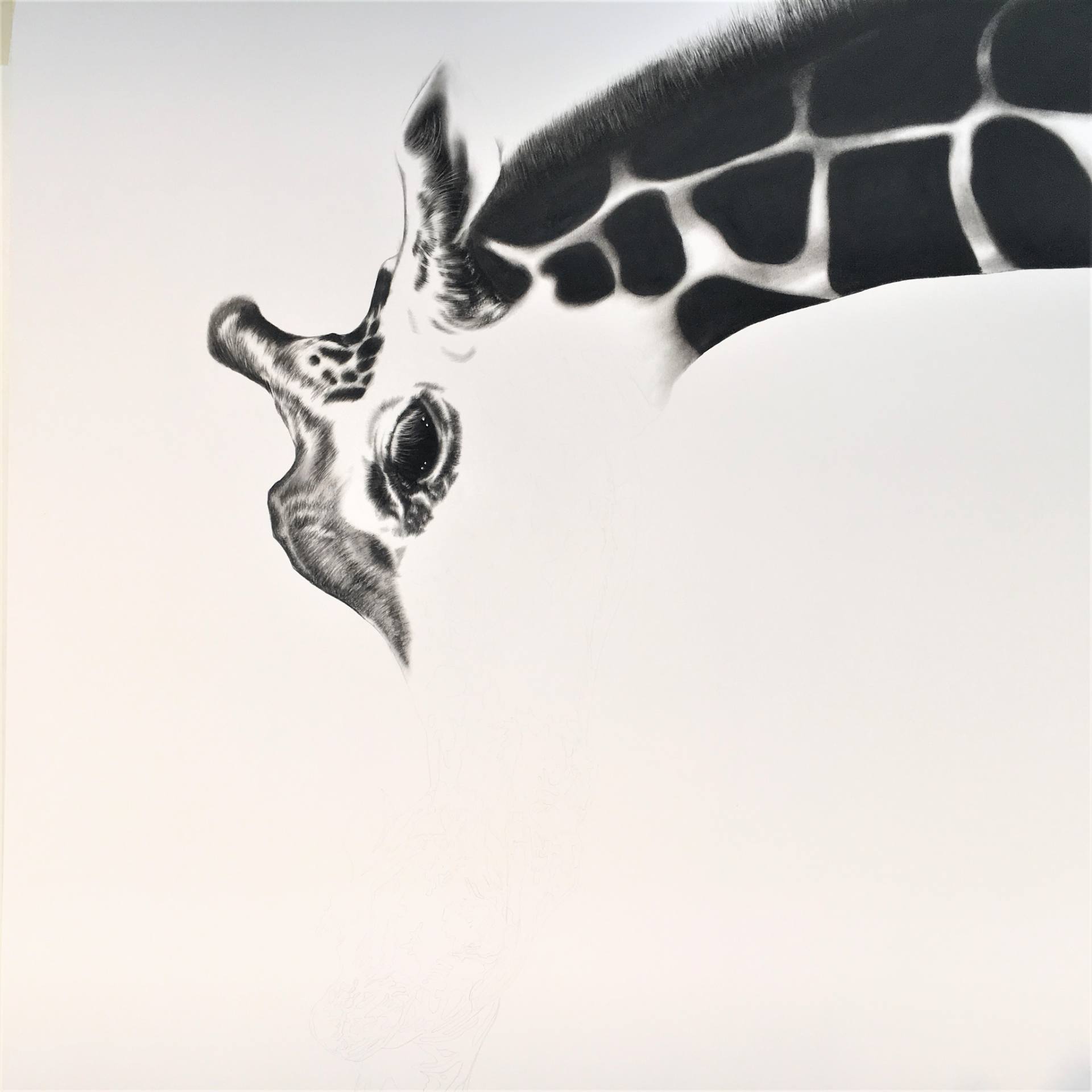 1920x1920 Saatchi Art Mothers! Drawing By Ira Van Der Merwe