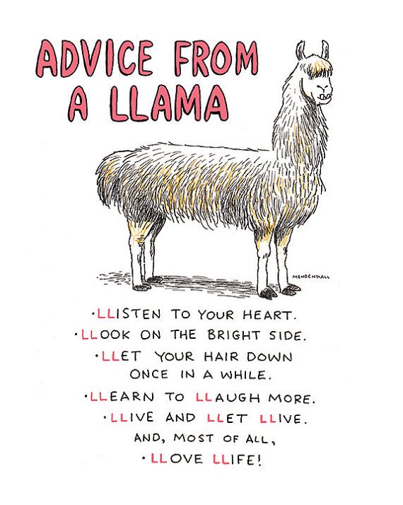 570x714 Funny Llama Print, Humorous Decor, Alpaca Artwork, White Llama