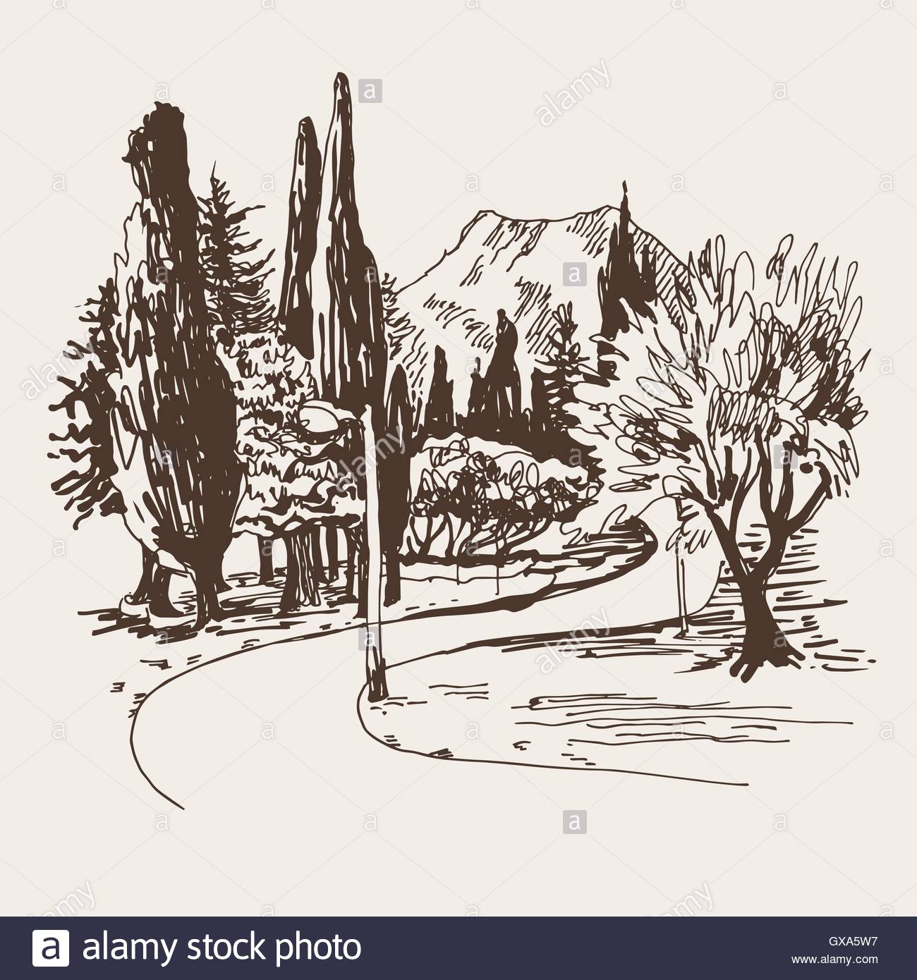 1300x1390 Sketching Of Park Alley View With Trees Cypress And Mountain