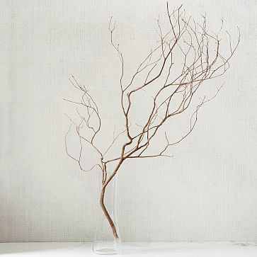 363x363 Mountain Laurel Branch West Elm