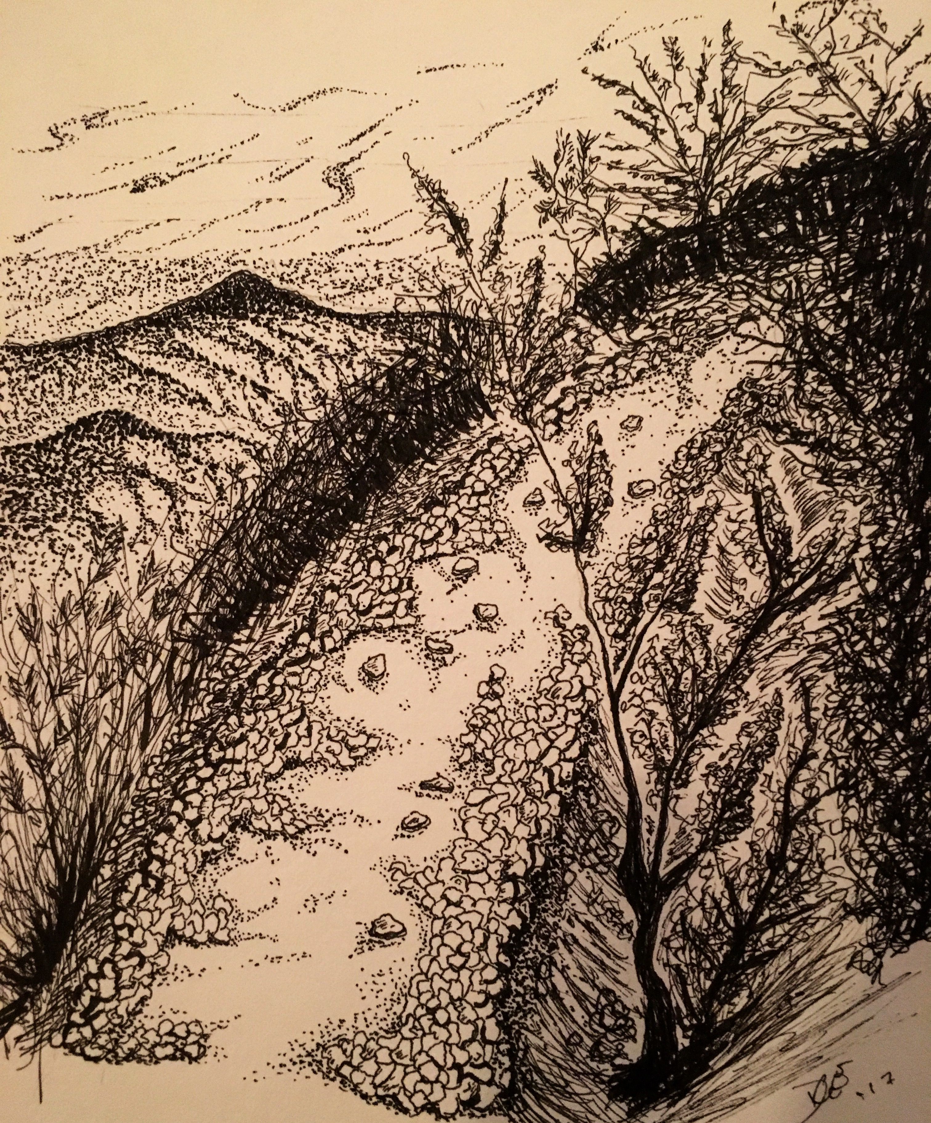 3024x3647 North Fortuna Mountain Trail Pen And Ink. Micron