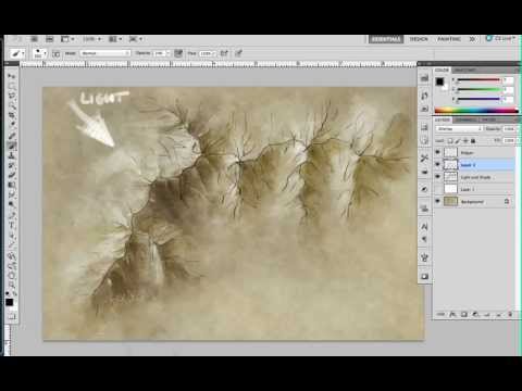 480x360 Drawing Top Down Mountains