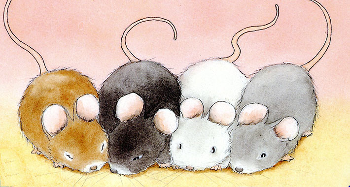 710x380 How To Draw A Mouse With Realistic Features