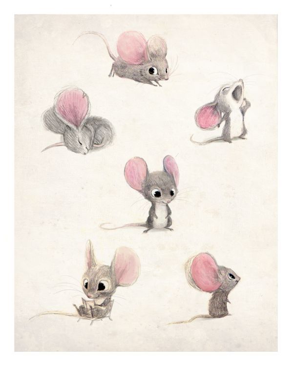 600x750 Mice Sketches, Artist Unknown Draw ~ Penpencilink Art