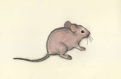 400x260 Picture Books 2 To 5ish