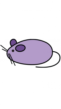 215x382 How To Draw A Mouse For Kids, Animals, Easy Step By Step Drawing