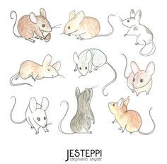 236x232 Character Design References