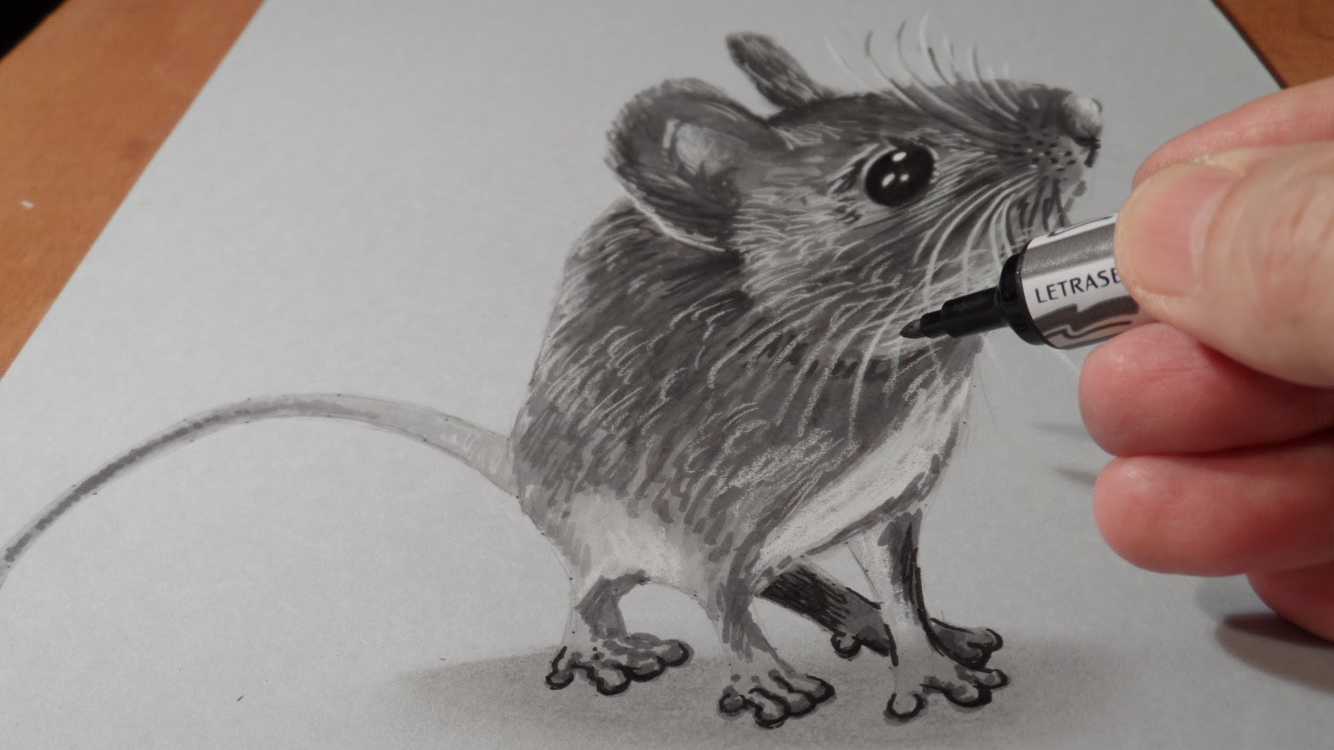 Mouse Pencil Drawing at GetDrawings Free download