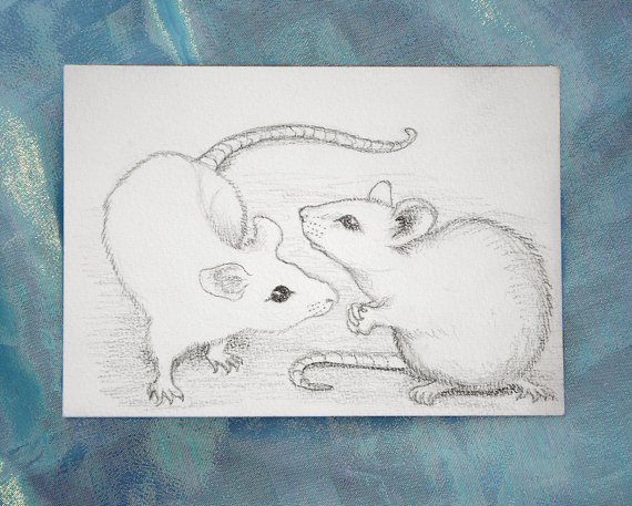 570x457 White Mice Original Pencil Drawing Of Mouse By Thekestrelandthesea