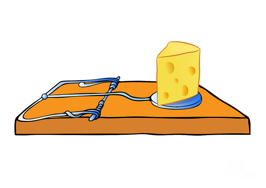 900x636 Mousetrap With Cheese
