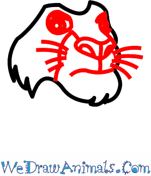 300x350 How To Draw Mufasa From The Lion King