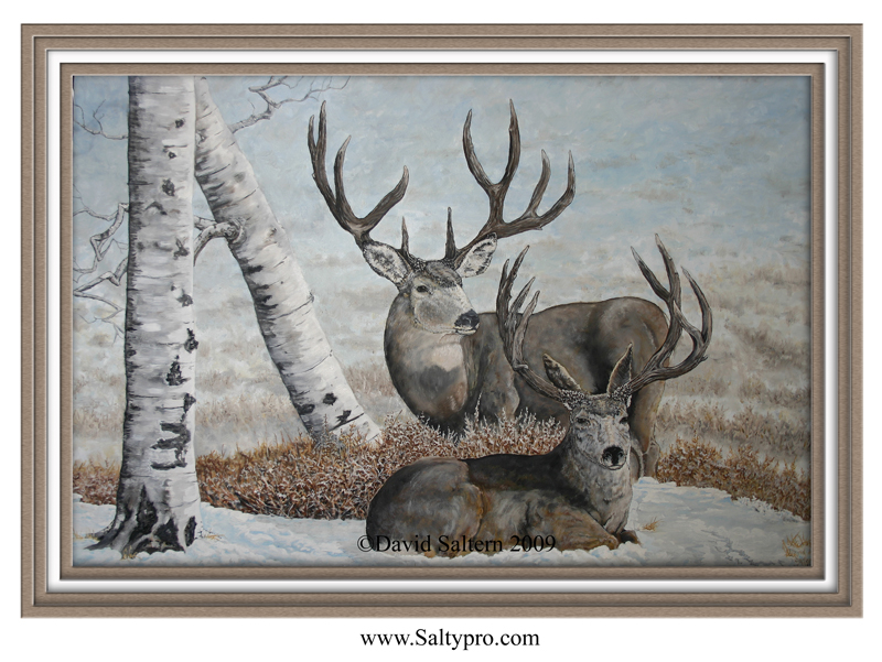 800x601 Salty Productions