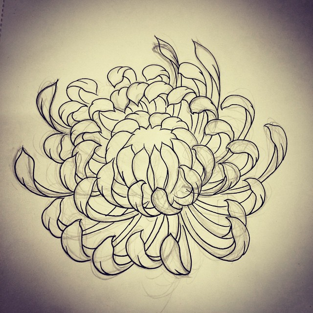 Mum Flower Drawing at GetDrawings | Free download