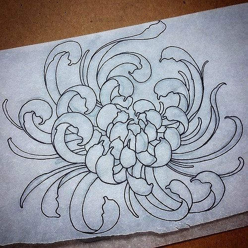 500x500 Image Result For Simple Chrysanthemum Drawing Zentangles
