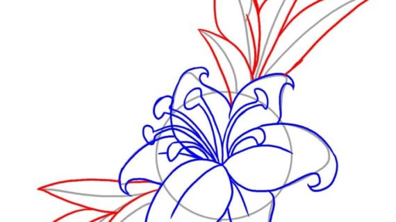570x320 Learn To Draw Flowers Learn To Draw A Rainbow Flower For Mom Mum