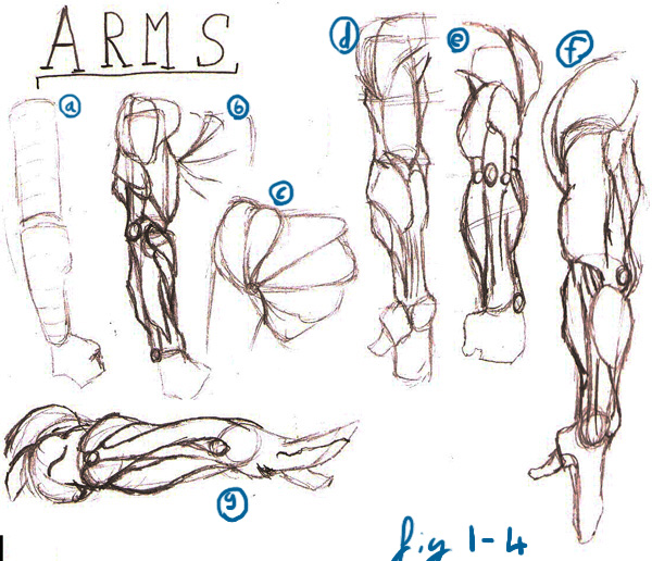600x516 My Fyp Project Research