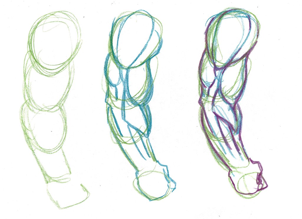 1024x744 Tutorial Anatomy Favourites By Leanfj On Anatomy