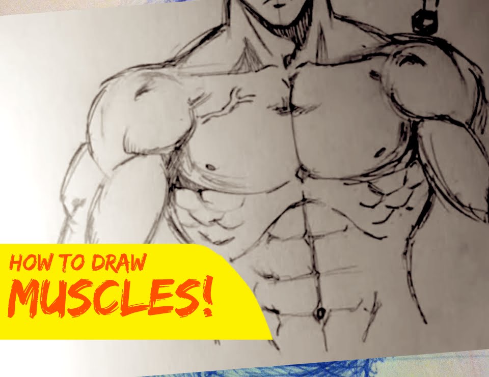 960x741 Drawing Male Body Muscles [Stylized Front]