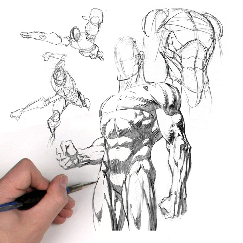 800x800 Human Figure Drawing Drawing Body Figures In Different Poses